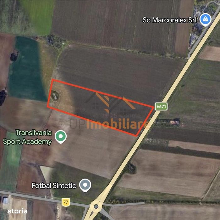 Teren Intravilan 24457 Mp | 80 Ml Front Stradal | Oradea | Bihor