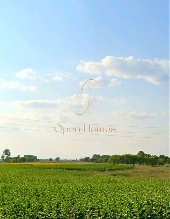 Парцел в Пловдив, област-с.Маноле