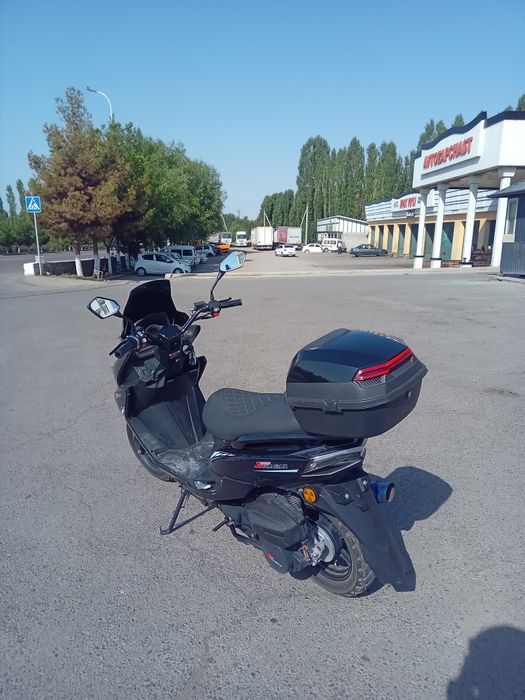 Tiger sotiladi tezligi 100+