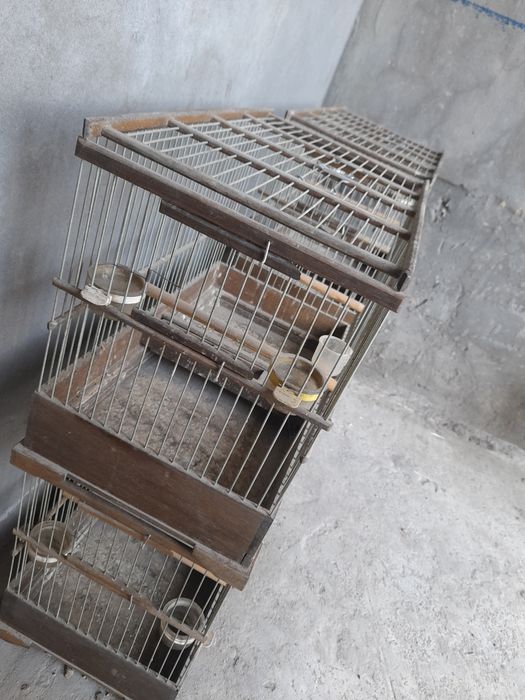 Yong'oq qafas sotiladi