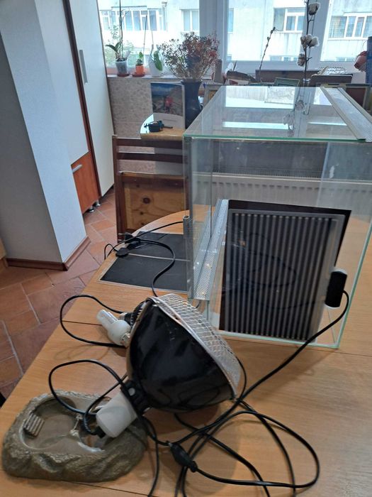 terariu pentru reptile plus accesorii
