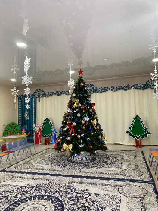 Елка пихта прелестная