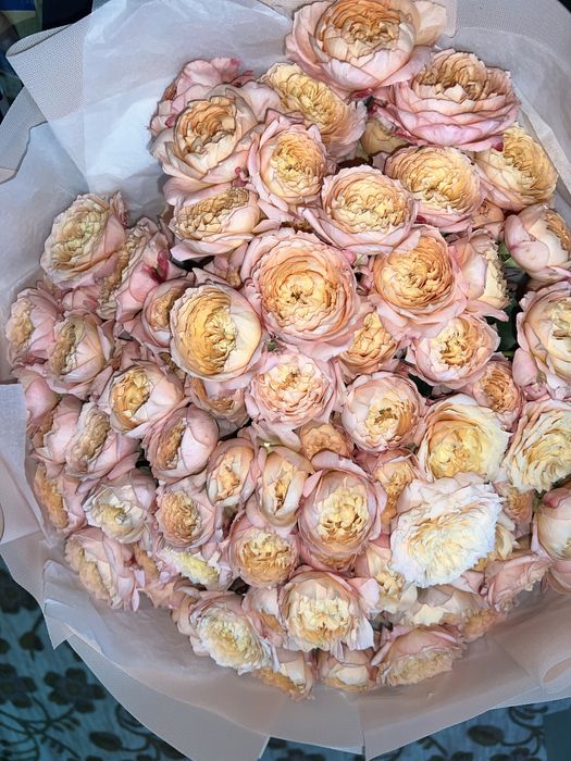 Цветы  пионовидные розы 15000тг