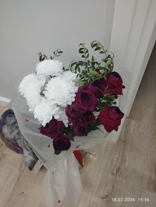 Цветы,Роза     ааа