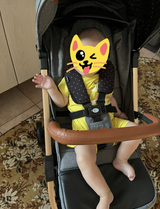 Carut tip troller pliabil pentru avion Momi