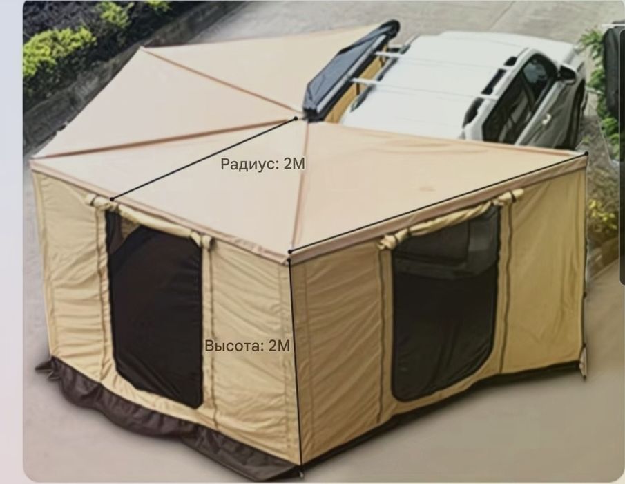 Маркиза веерная.