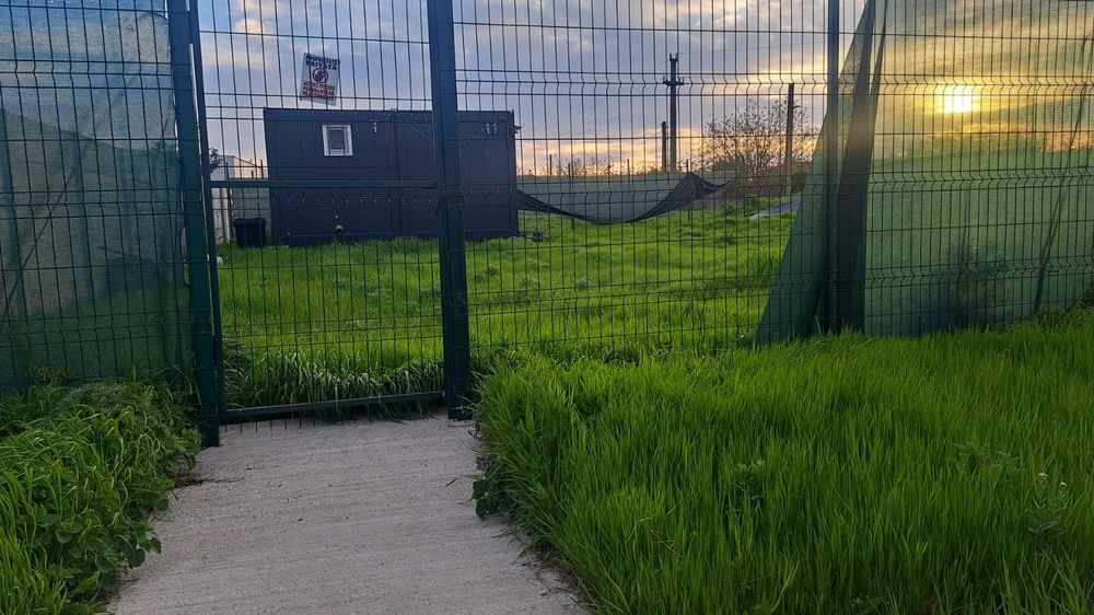 Teren intravilan 456 mp - Bragadiru – str. Dumbravei