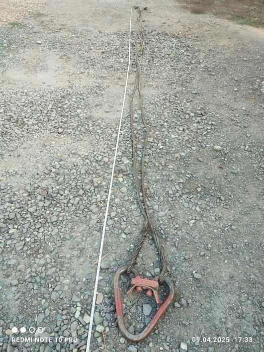 Паук двух концывой