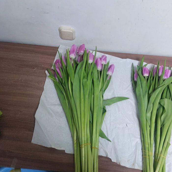 Тюльпаны розница 690 тенге