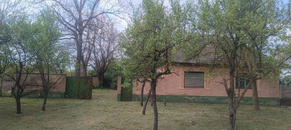 Vand casa in Peregul Mic  jud Arad preț 24700 euro neg