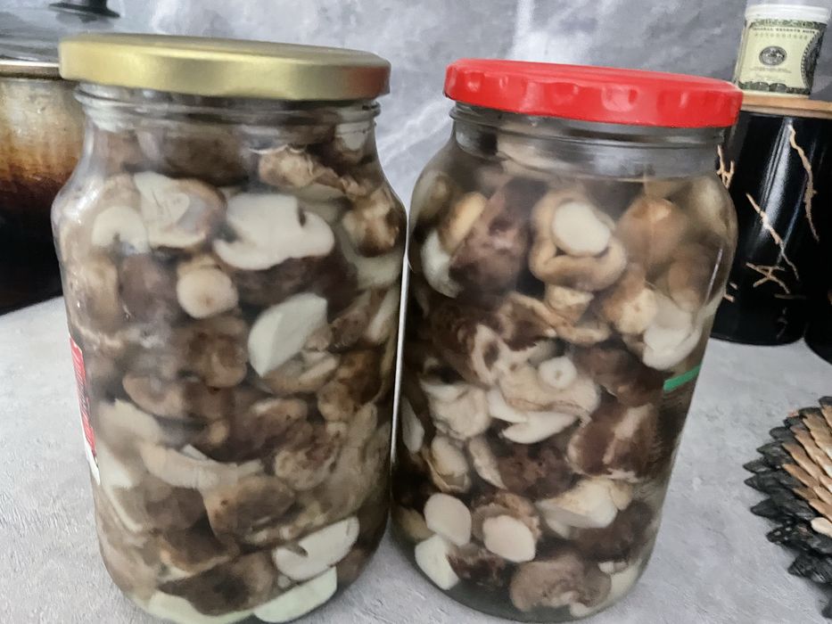 Грибы маринованные