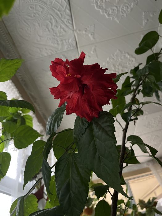 ботанический сад