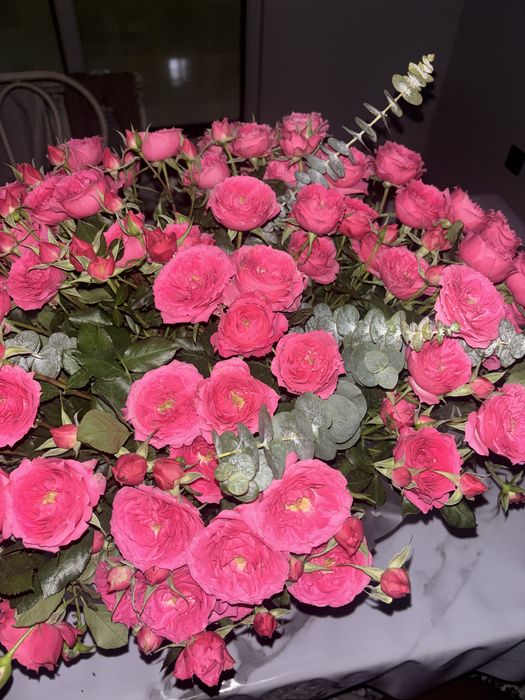 Продам цветы спрей роза