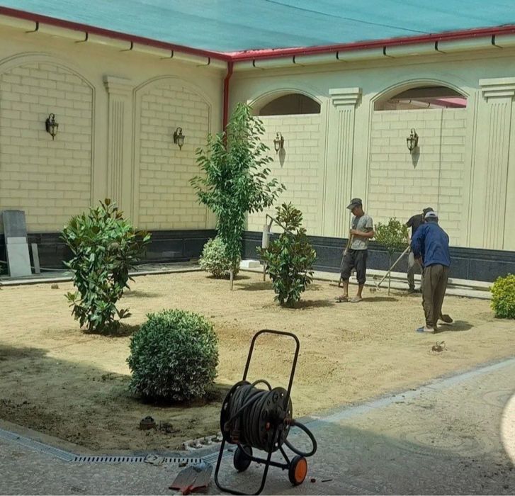 Газон вишего качества