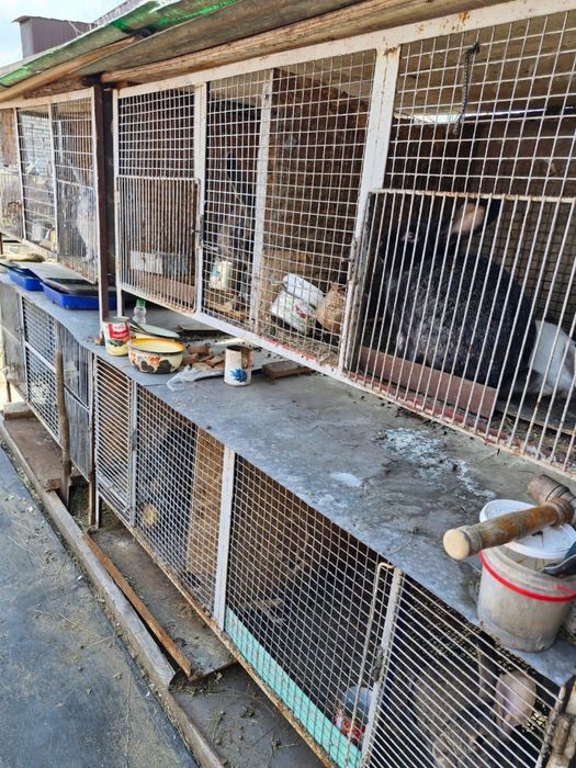 Продам клетки для кроликов