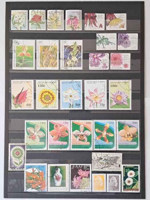 Пощенски марки тема ”Растения”.