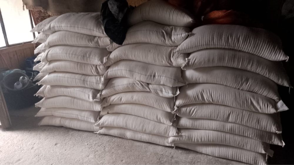 Vand tarte marunte si mari