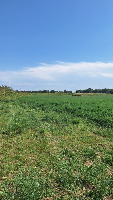 Продам земельный участок