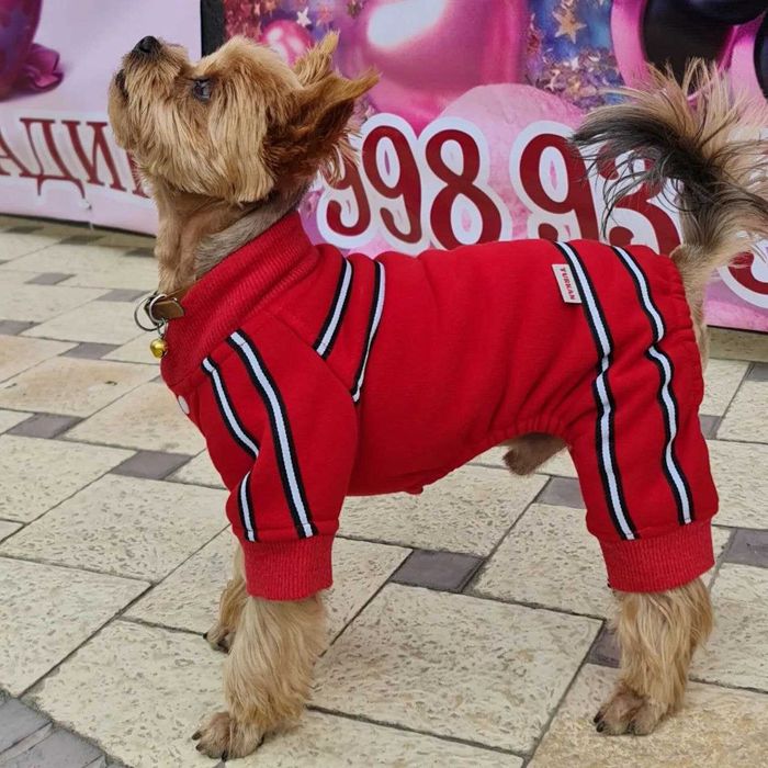 Одежда для животных от TURKAN.