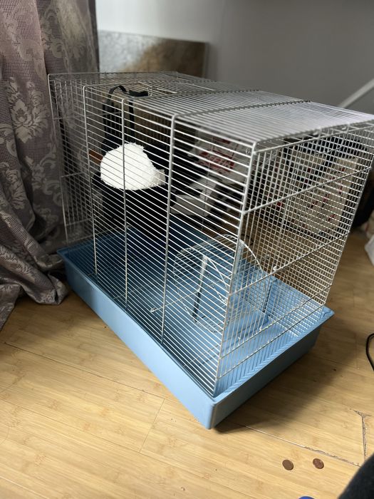 Accesorii pentru animale