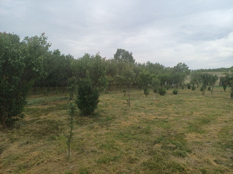 Teren intravilant pentru casa