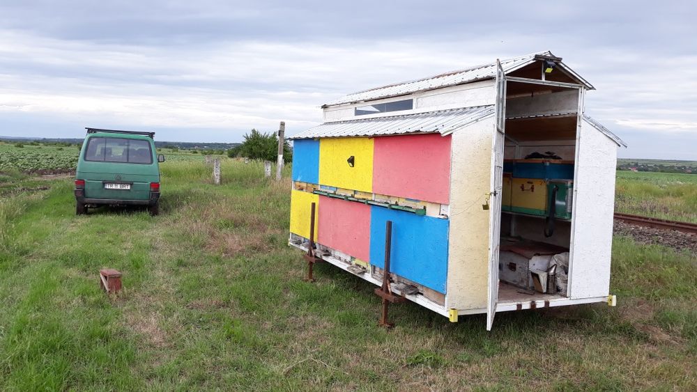 Container apicol modul
