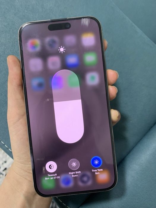 iPhone 15 Pro Max (256 GB)