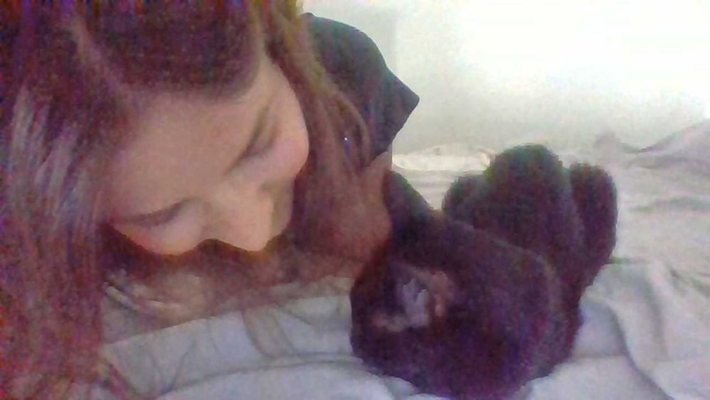 Petsitter Timisoara (pisici)