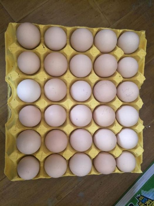 Пресс формы для флейки на заказ