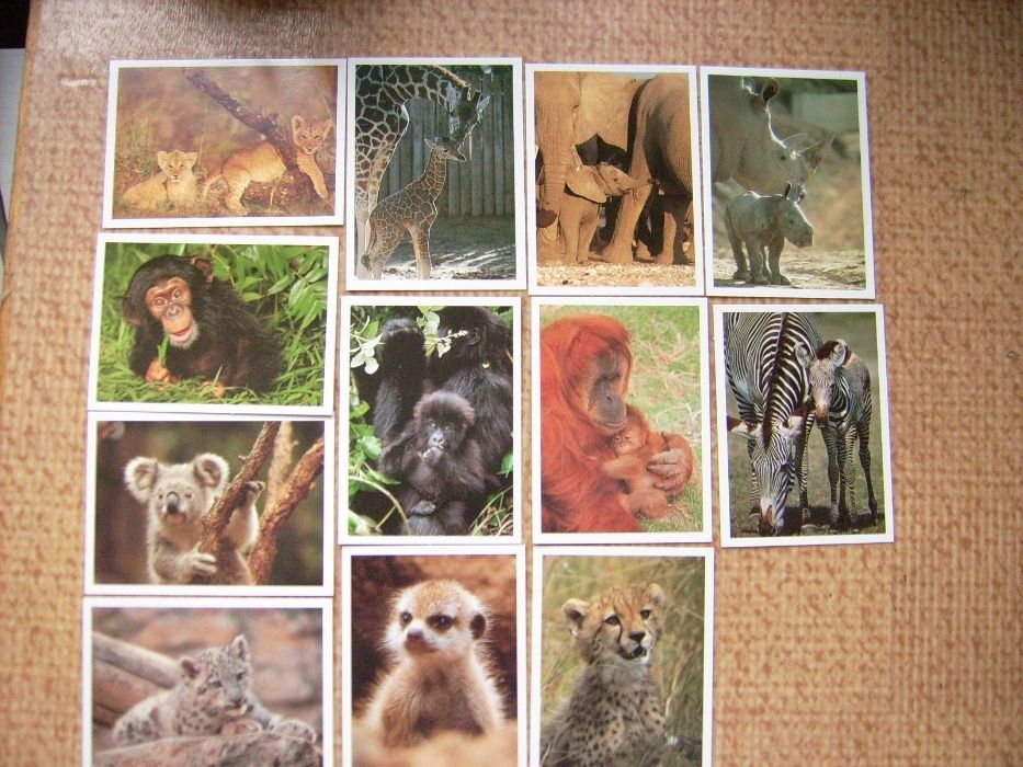 Лот от миникартички и картички с животни