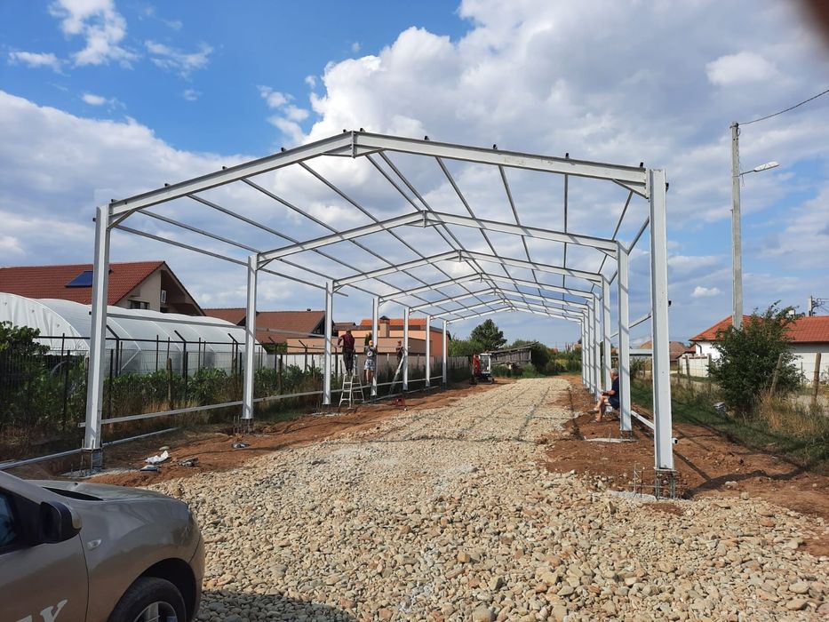 Vand structura metalica hale industriale variante auto