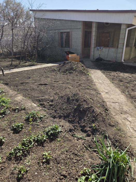 Чернозем бесплатно