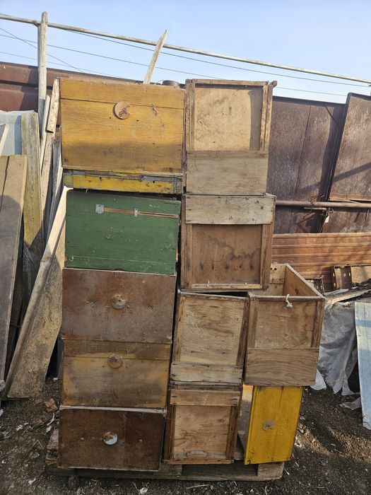 Обменяюдеревянные улики на мёд