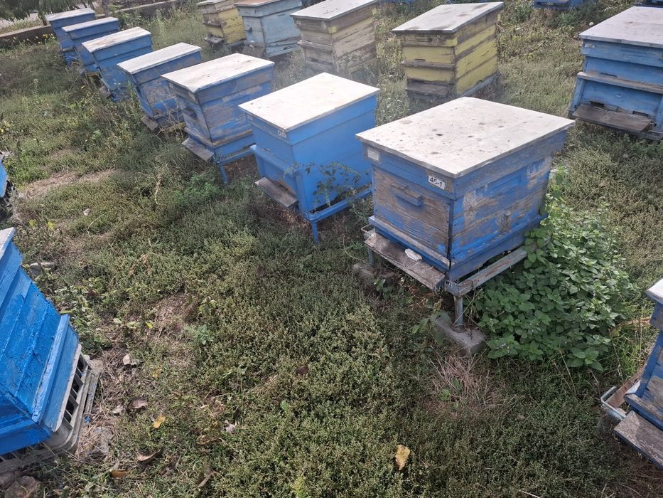 Продавам пчелни семейства.