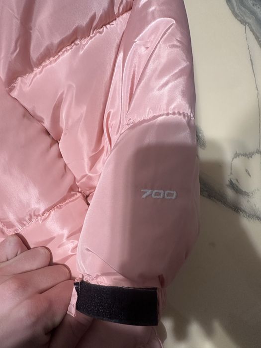 Geaca The North Face