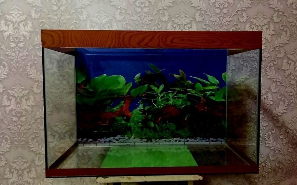 Продается аквариумы