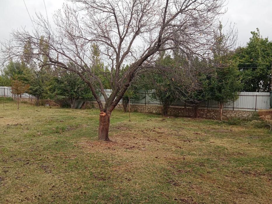 Когон туман Кизилолма кишлогида жойлашган 14,5 сотих учаска сотилади.