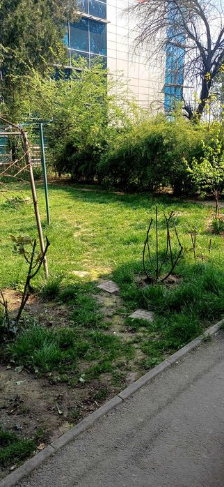 Apartament 2 camere cu gradina și garaj Băneasa