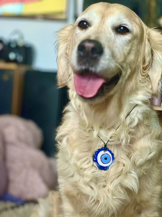 lant handmade evil eye "crazy huh?"