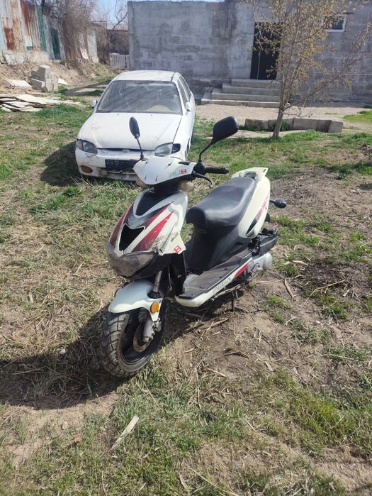 Мапед.           .