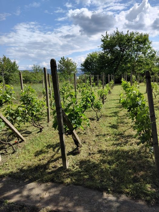 Продава се Къща в Разград, Варош - 600 кв.м за 64 €/кв.м - Снимка #2