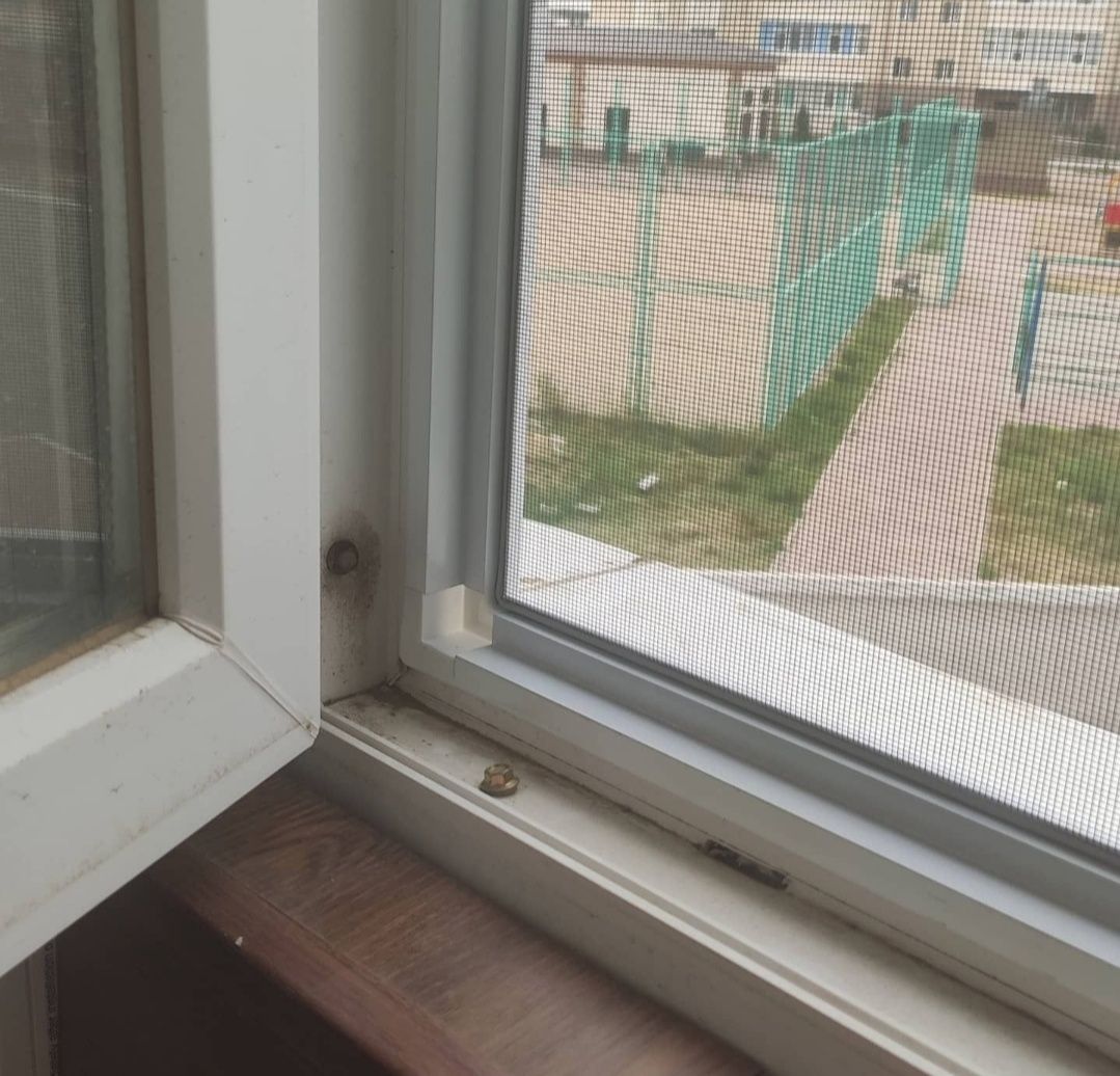 Москитные сетки, внутренние сетки,москитная сетка,ролл шторы, - Окна ...