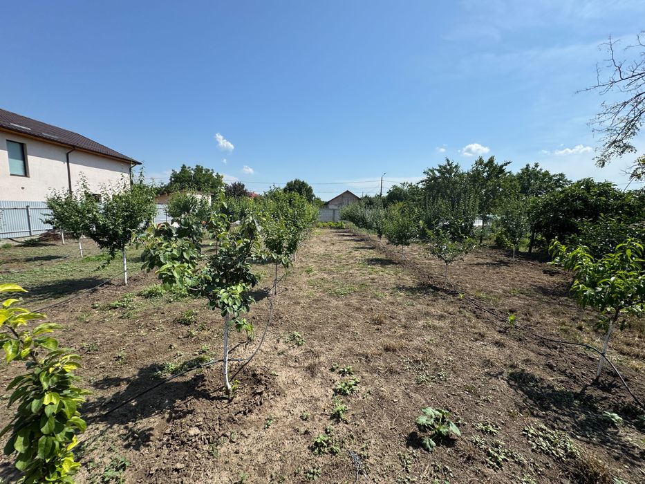 Vand teren intravilan