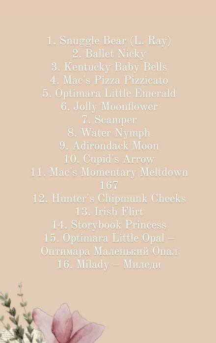 Фиалка трейлер мини самовывоз Актас