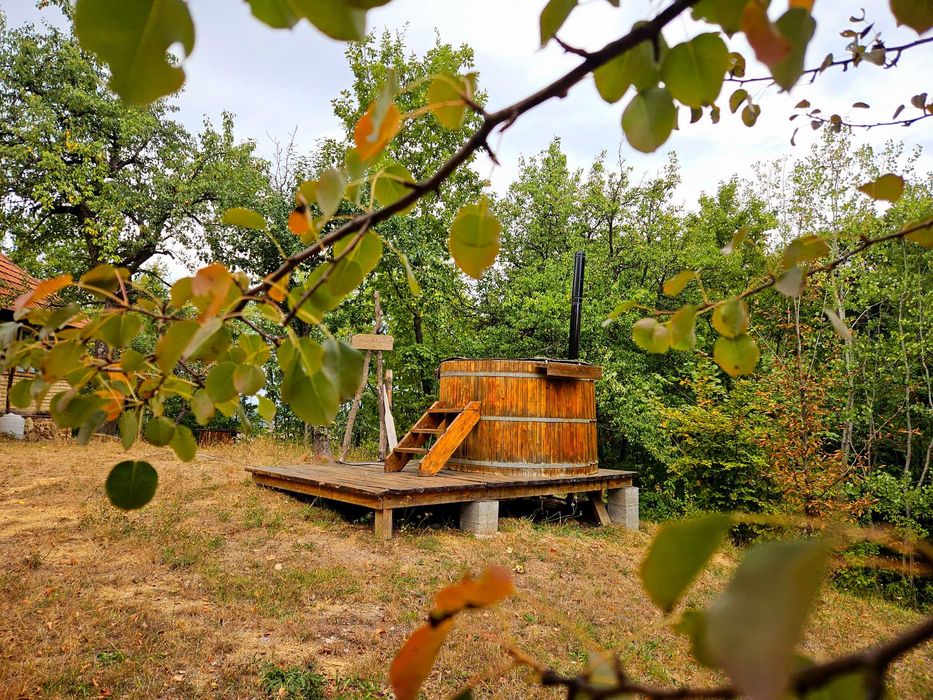 Poiană privată, pădure și cabană | Proprietate cu potențial turistic