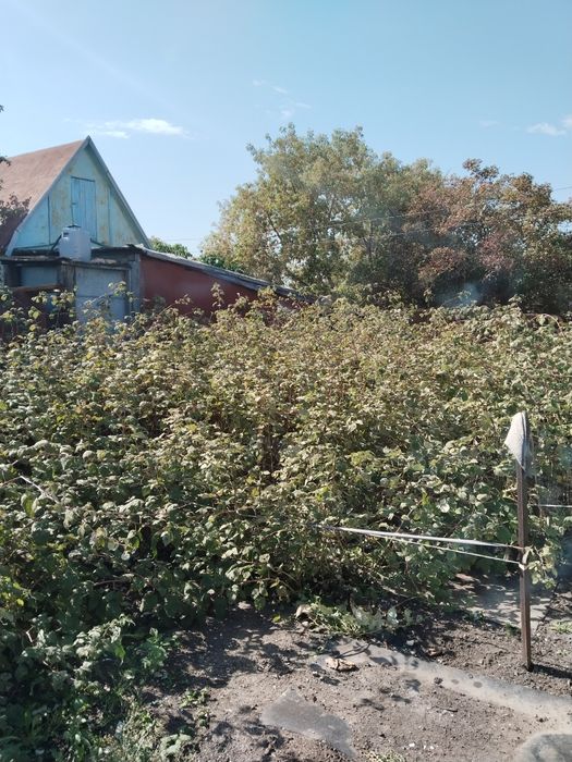 Продам дачу в д/о Черёмушки