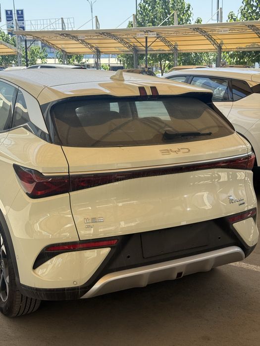 Byd young plus  Ev 445km