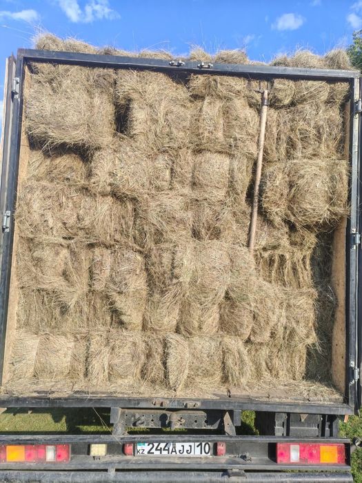 Продам сено в тюках, в рулонах