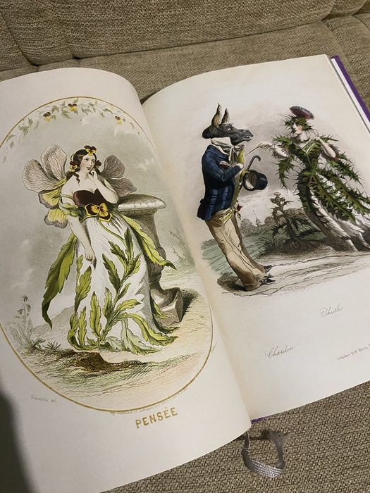 Книга для улучшения насмотренности