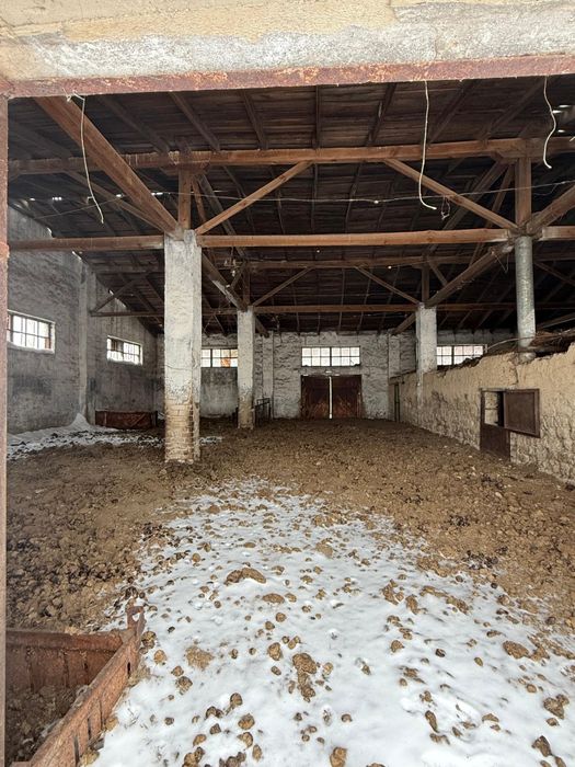 Продам крестьянское хозяйство